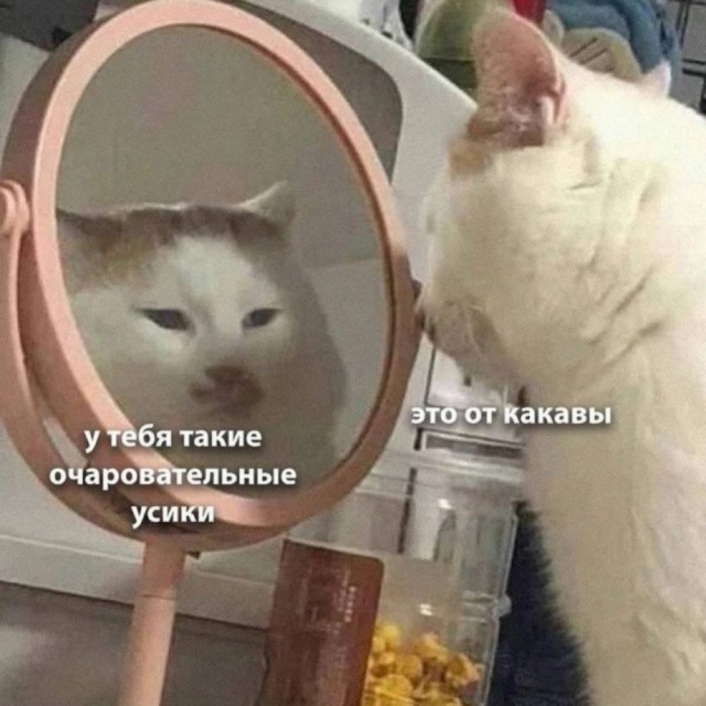 Картинки из закромов памяти