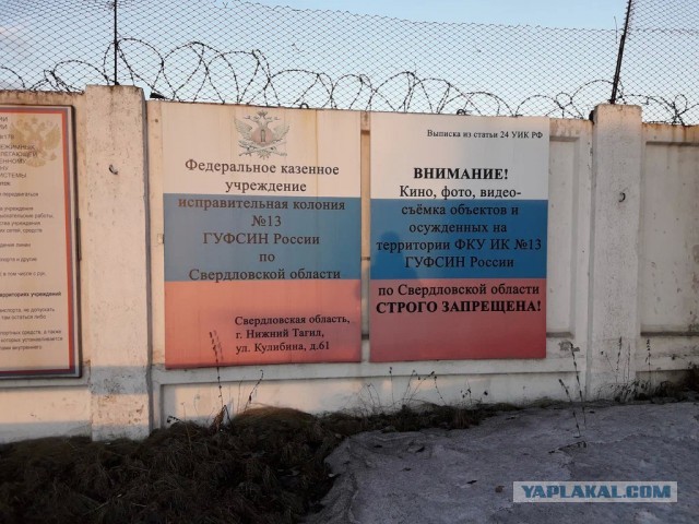 Моя полиция меня...