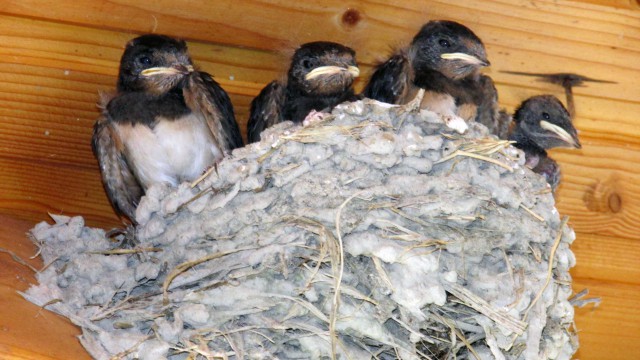 К вылету почти готовы