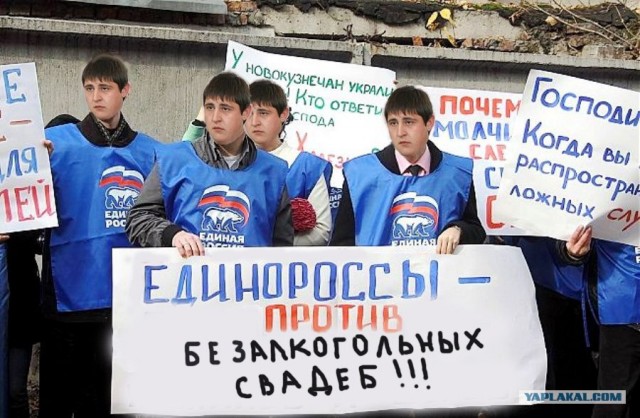 Единая Россия против жуликов и воров