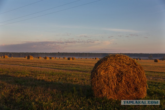Отпуск в Беларуси