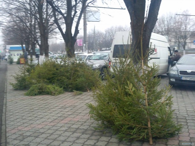 Выглядываю в окно, а там?