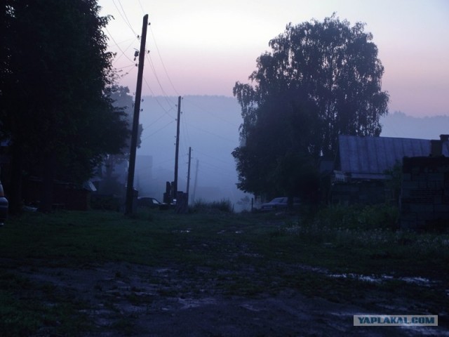 Сюрреальные фото насекомых