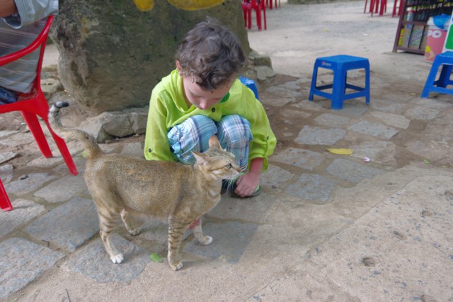Котовторник 5.05.2015.