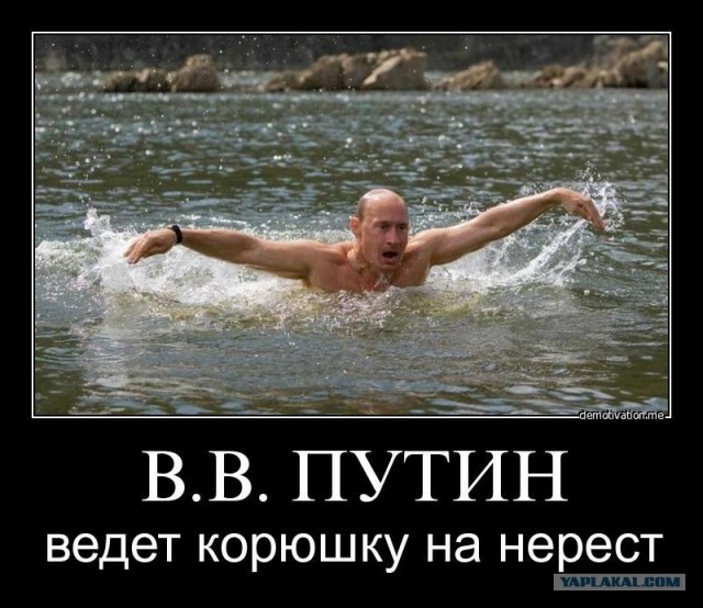 Путин с клювом в халате возглавил журавлиный клин