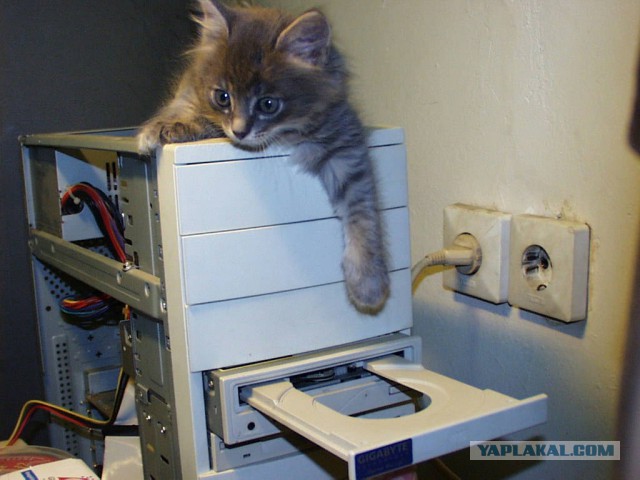 IT-Картинки