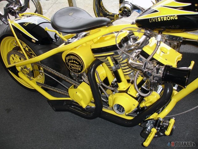 Occ Shop