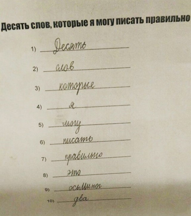 Порция картинок из сети