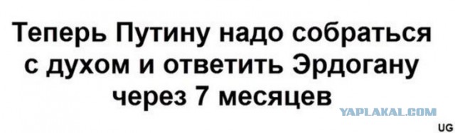 Смешные комментарии из социальных сетей 01.07.2016
