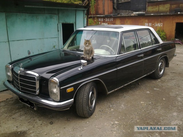 Билет в бизнес-класс 70-х: тест-драйв Mercedes-Benz W115