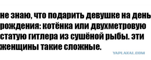 Подборка интересных и веселых картинок
