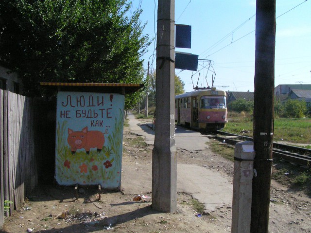 Фото из этих ваших интернетов.