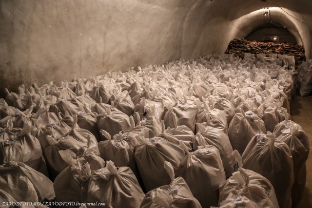 Там рыба есть! Или рыбзавод за Полярным кругом