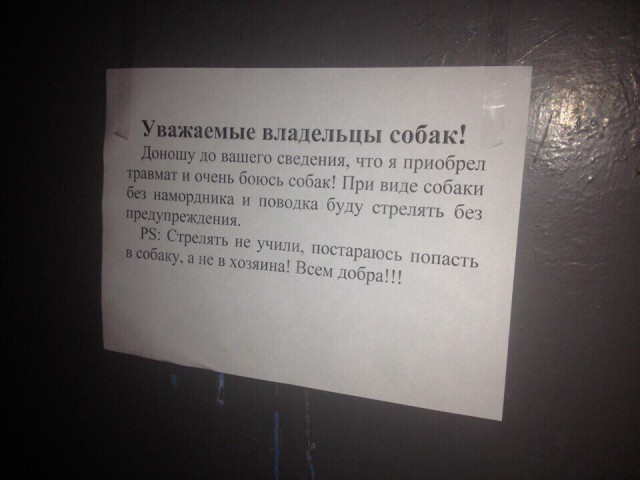 В Тюмени велосипедист выстрелил собаке в пасть на детской площадке 16+