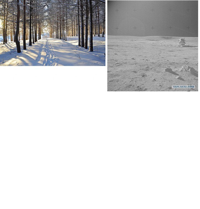 А почему собственно луноспор до сих пор?