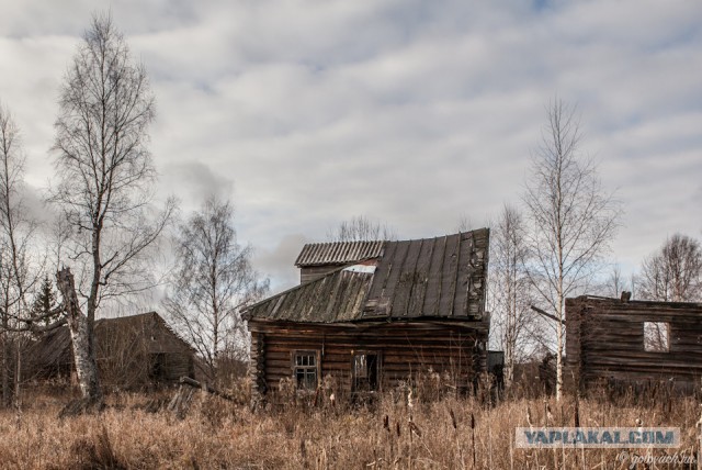 Родина. Костромская область.