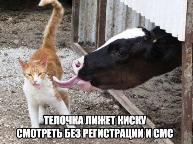 Вдарим безудержным весельем по суровому понедельнику!