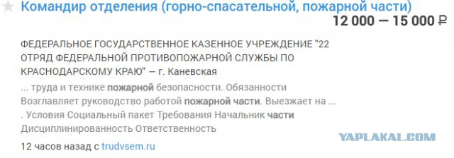 Пожарные не смогли объяснить, почему не вынесли детей