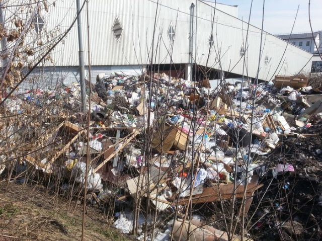 Вполне ожидаемые последствия закрытия полигонов ТБО в Подмосковье