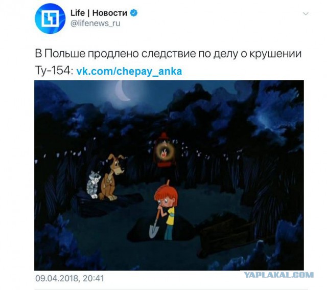 Смешные комментарии из социальных сетей 13.04.2018