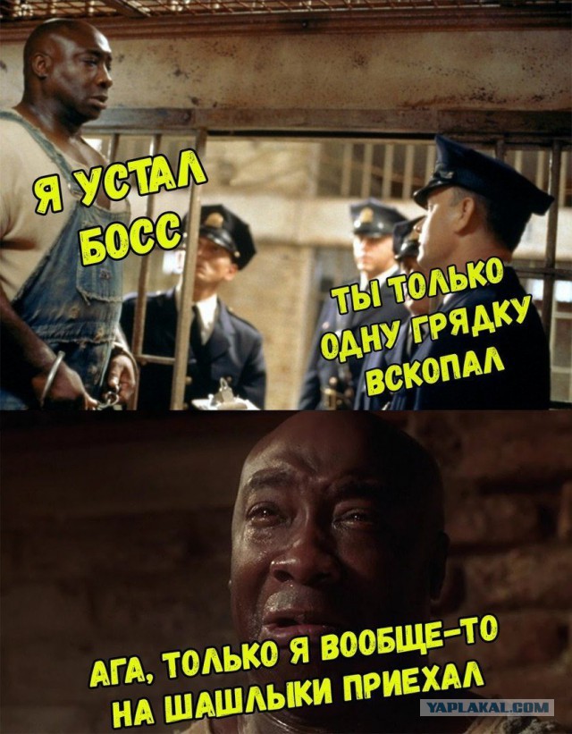 Приезжай к нам на дачу, пожарим сосисок, говорили они! Будет весело, говорили они!