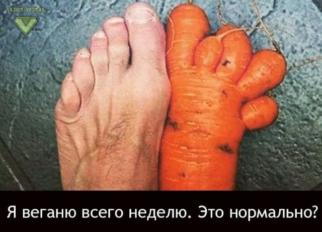 Специфический юмор
