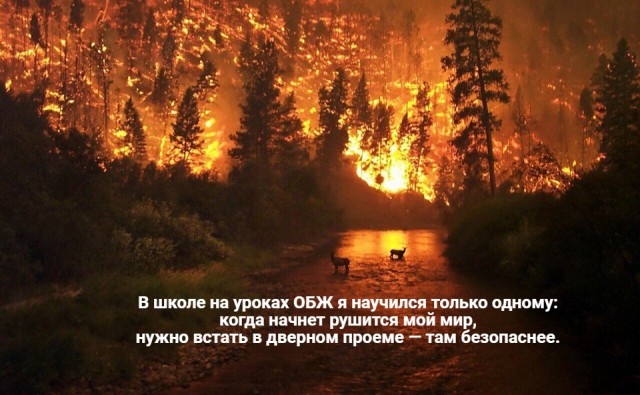 25 картинок в эту чёрную пятницу
