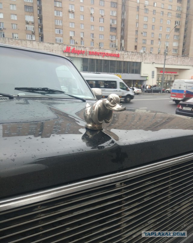Подборка интересных и веселых картинок