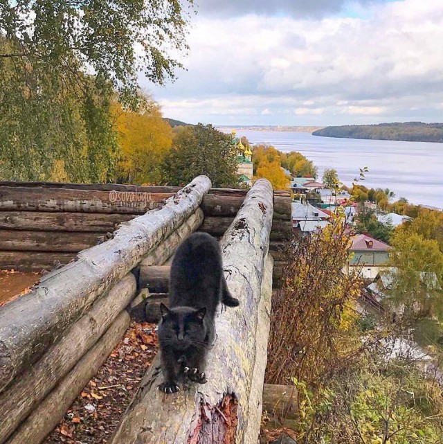 Россия великолепна!