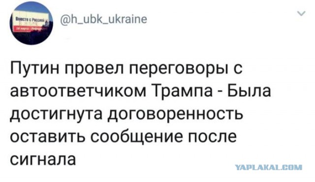 Путин и Трамп не поприветствовали друг друга на G20