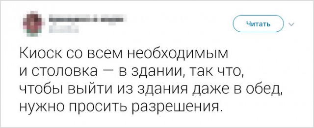 Девушка рассказала о работе в Японии. Спорим, вы бы не хотели оказаться в таком офисе