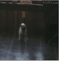 Забуксовал