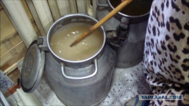 И золотой унитаз в придачу: 7 роскошных квартир, от которых хозяева не могут избавиться