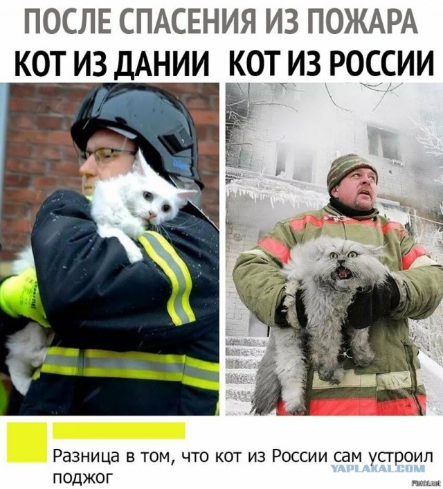 Картинки с надписями и анекдоты