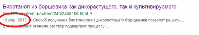 Опасный борщевик оказался полезным, из него можно получать спирт