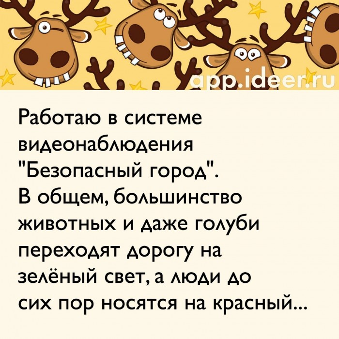 Картинки с надписями и анекдоты