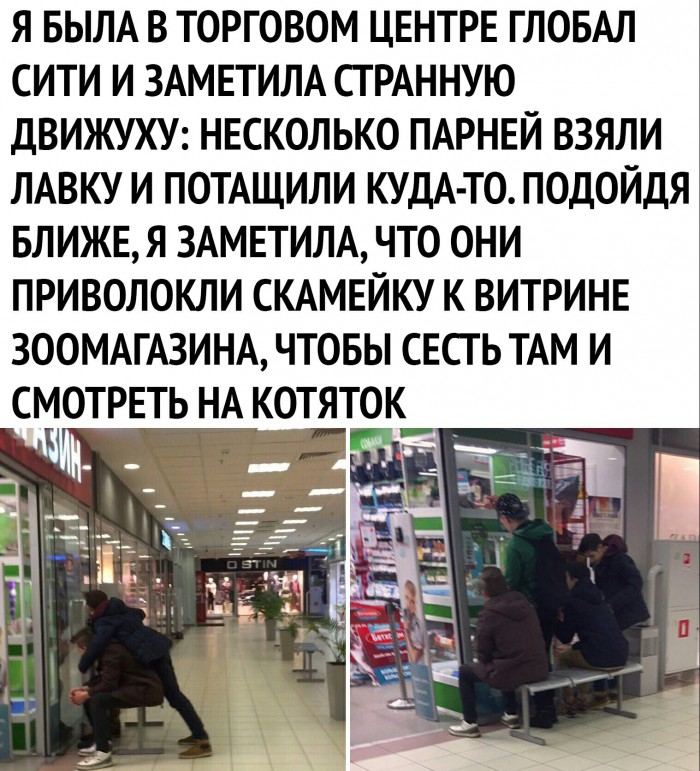 «Картинки разные нужны, картинки разные важны» 03.09.19