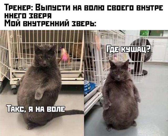 Немного картинок для настроения 06.12.19