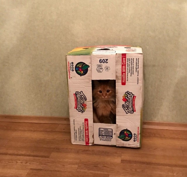 Зверушки