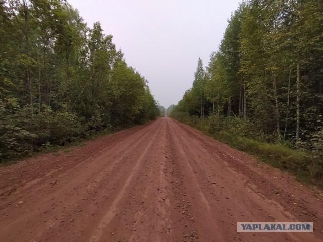 В лес? А почему бы и нет...