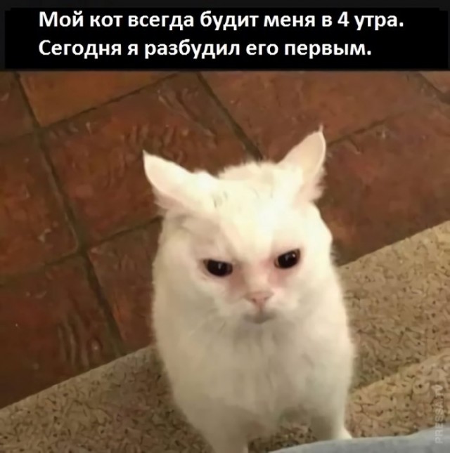 Немного картинок для настроения 19.09.20