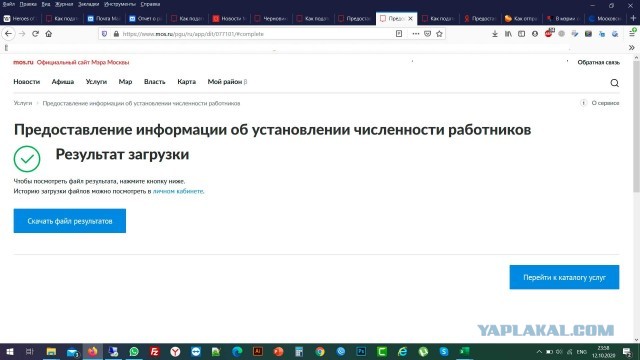 В мэрии обвинили работодателей в "обрушении" сервиса по предоставлению данных о работниках на удалёнке