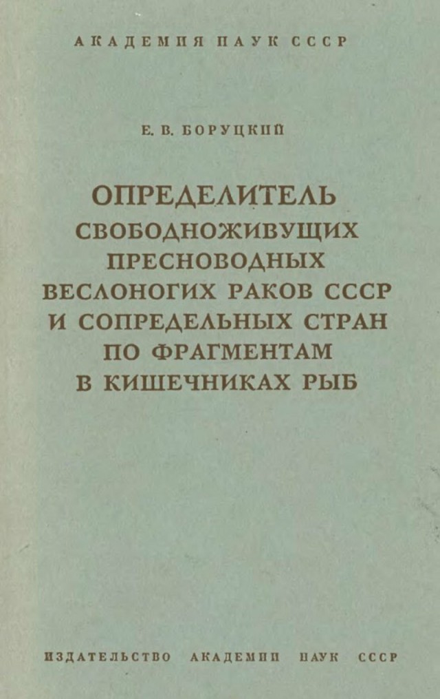 Прикольные и просто красивые картинки 08.12.2020