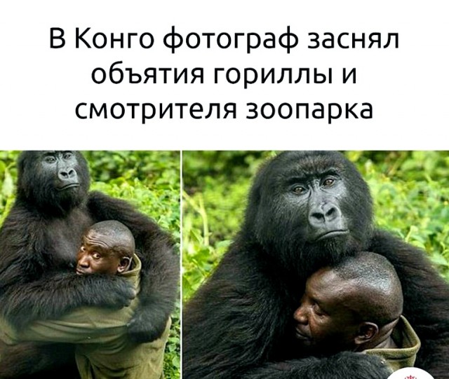 Анекдоты с картинками в каникулярный понедельник