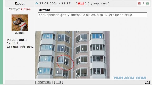 От 13 до 28 суток. Четырех минчан осудили за белые листики на окнах