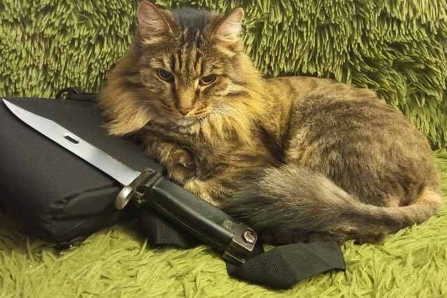 Котяра на стукача не подписался