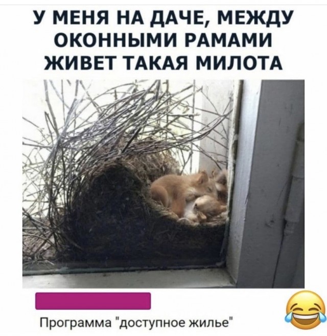 Так себе картинки 13.08.21