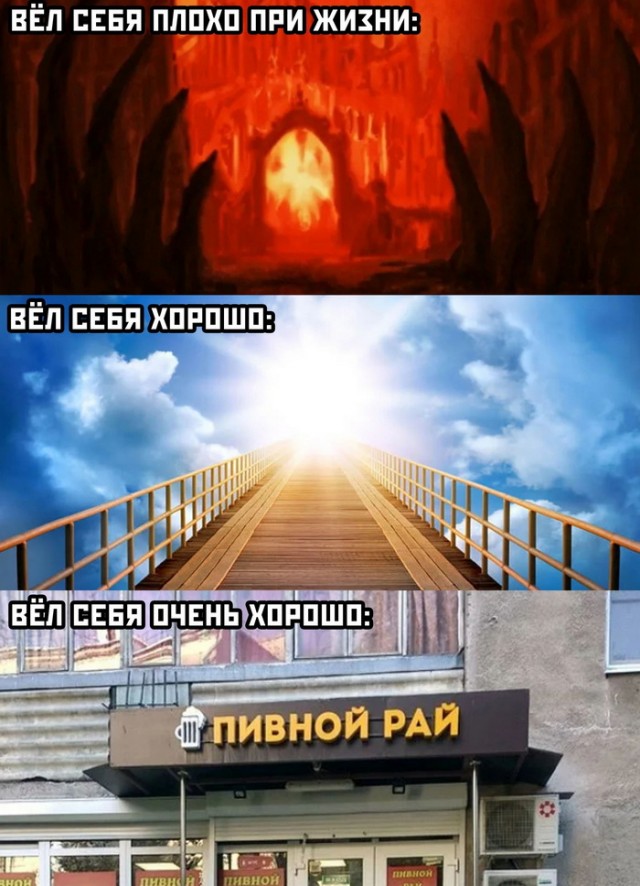 Кретинизмы из сети 19.08.2021