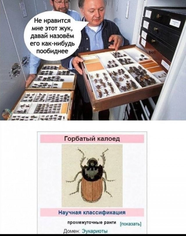 Картинки всякие и аморальные - 11