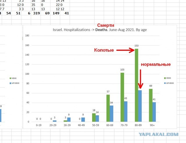 Ученые сравнили смертность от коронавируса у привитых и непривитых